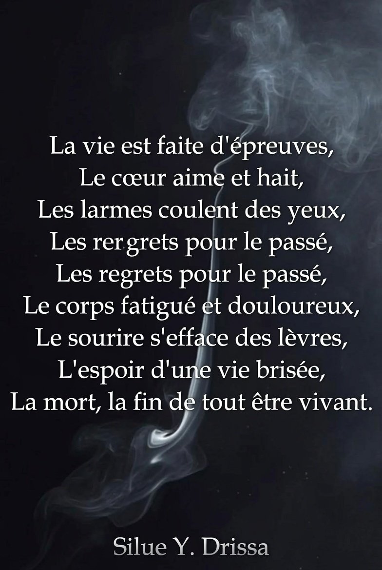 siluedrissa1225's tweet image. #citation #poesía #france #afrique