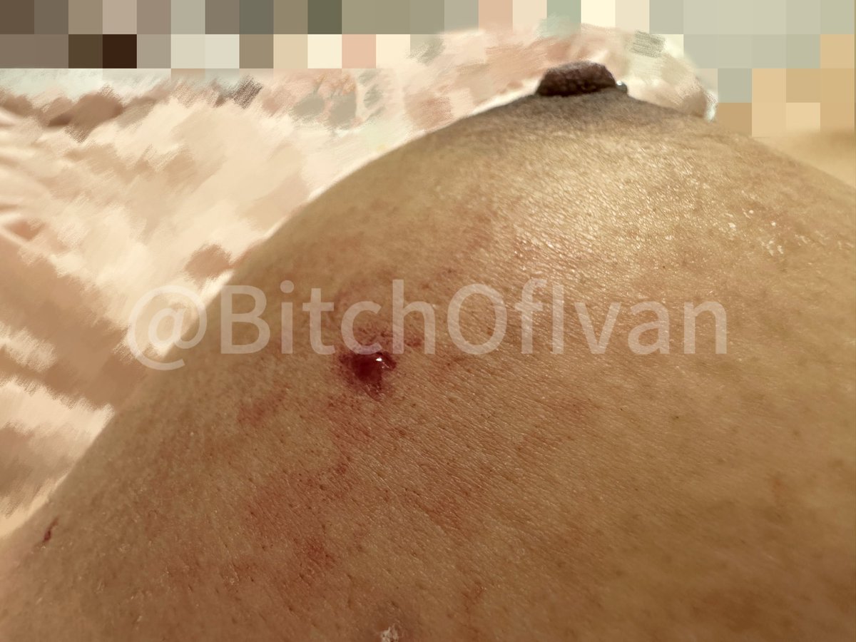 BitchofIvan tweet media