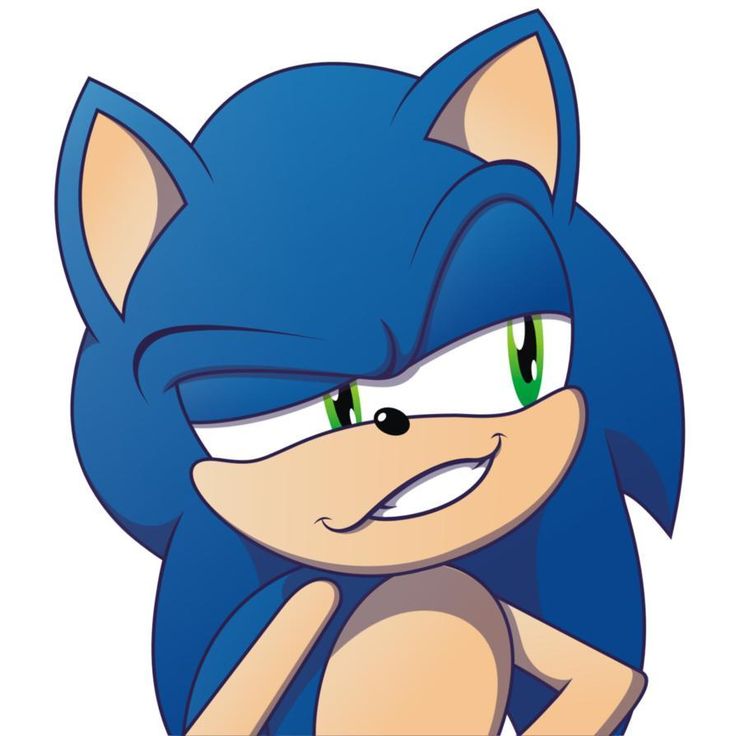 Sonic the Hunghog~ tweet media