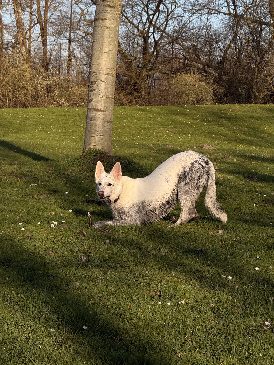 🦈🦈🦈 н и к и т а 🦈🦈🦈 tweet media