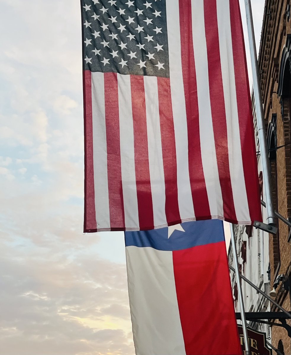 Mo🇺🇸 tweet media