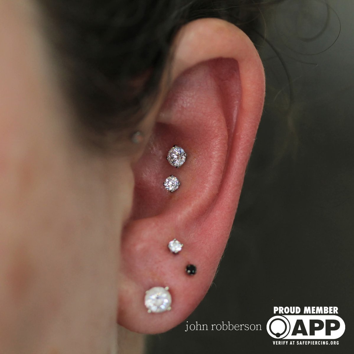Double conch
