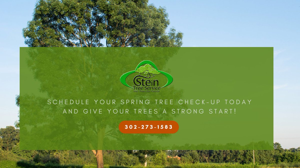 Stein Tree Service tweet media