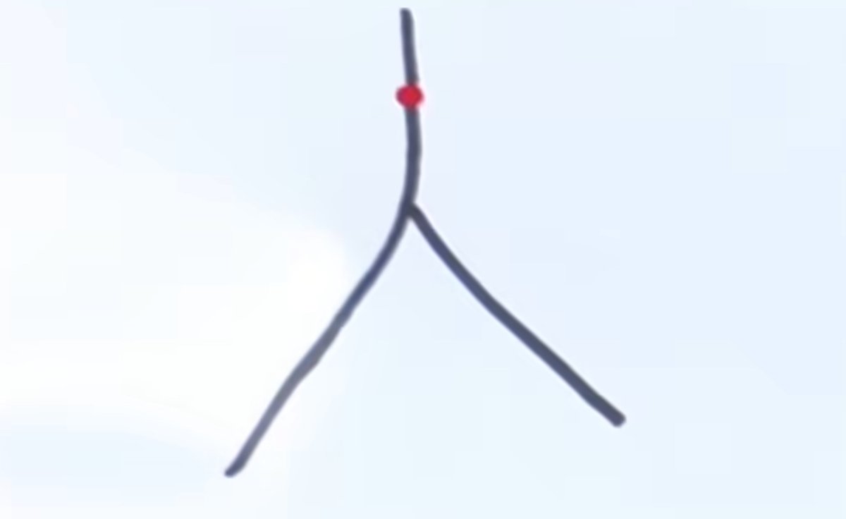 CBRaynard tweet media