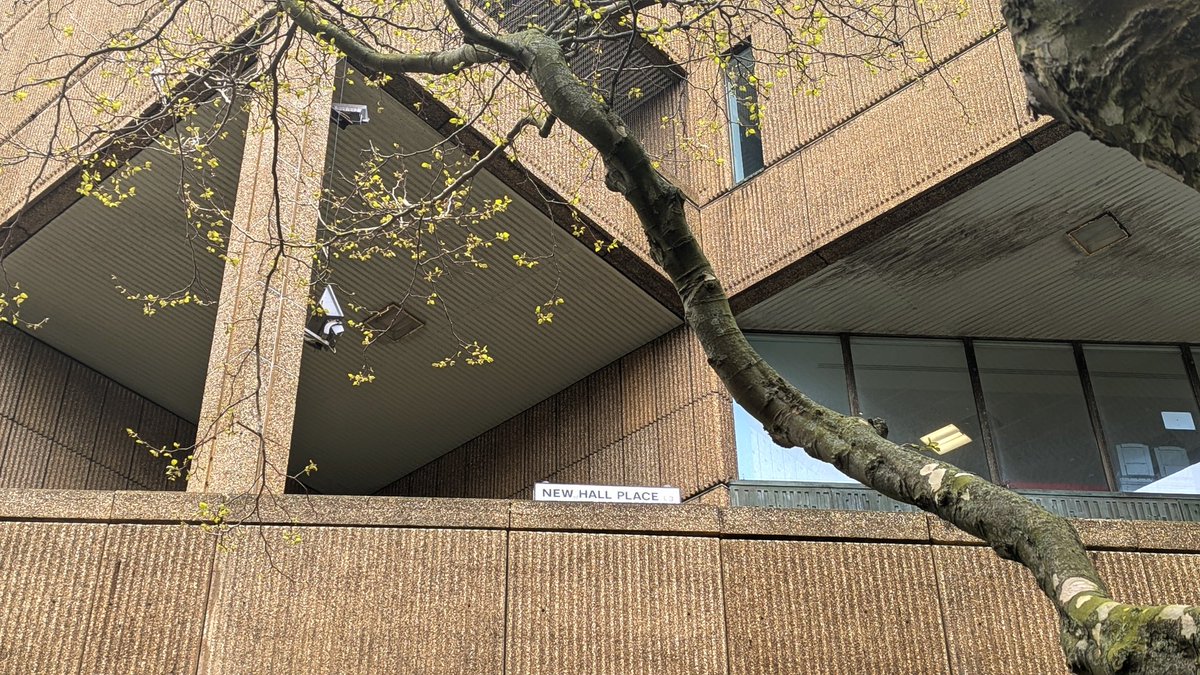 liverpool modernist tweet media