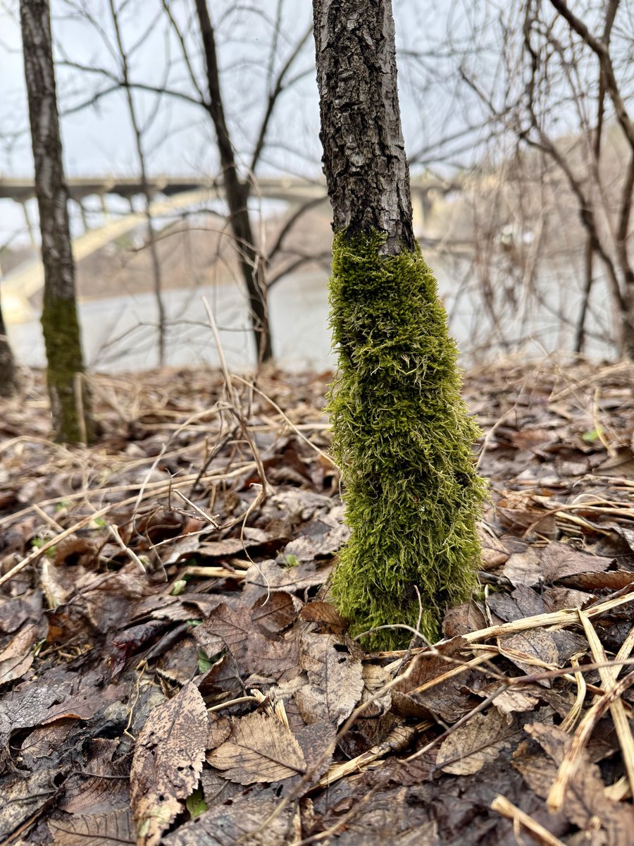 heatflow tweet media