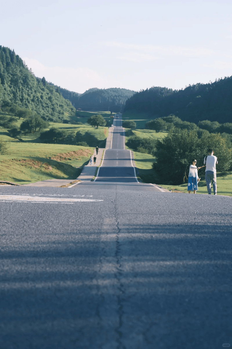 wuwenjia tweet media