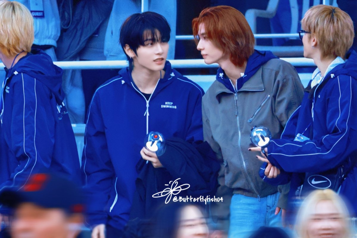 나비피쉬 tweet media