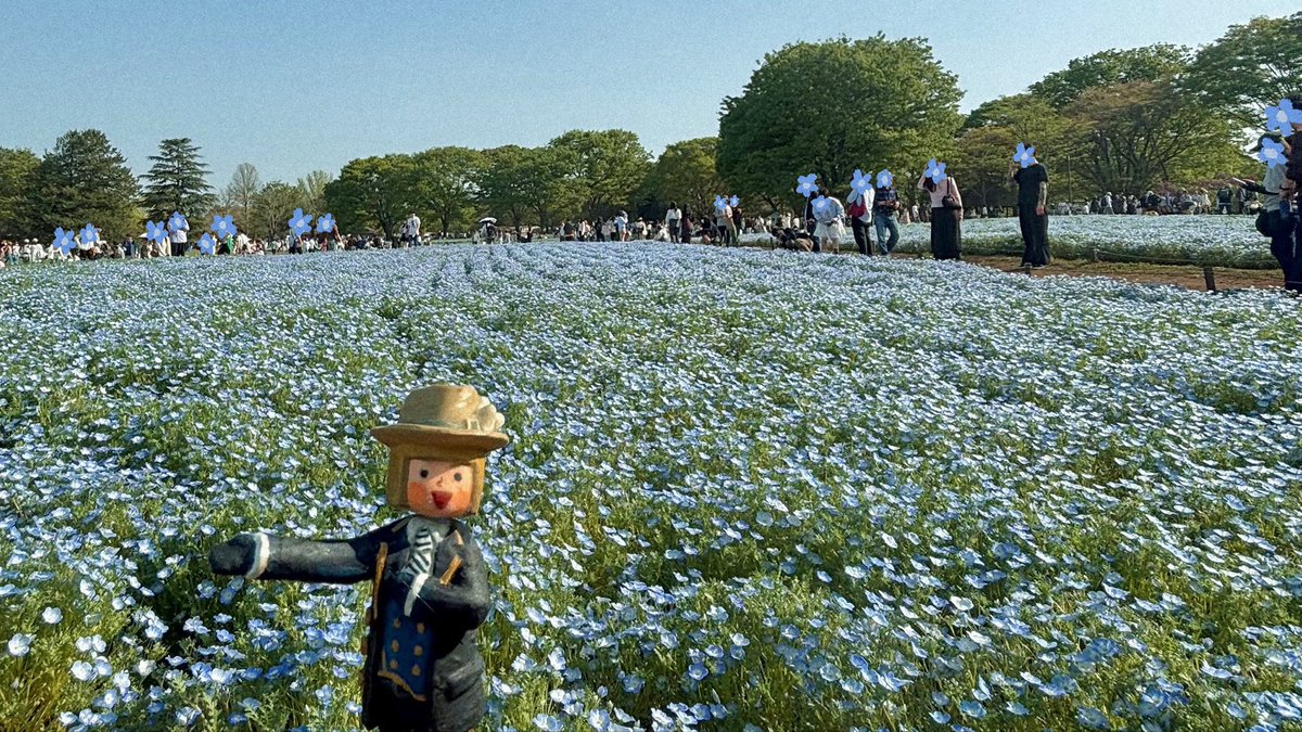 ｱｼﾞﾏ tweet media