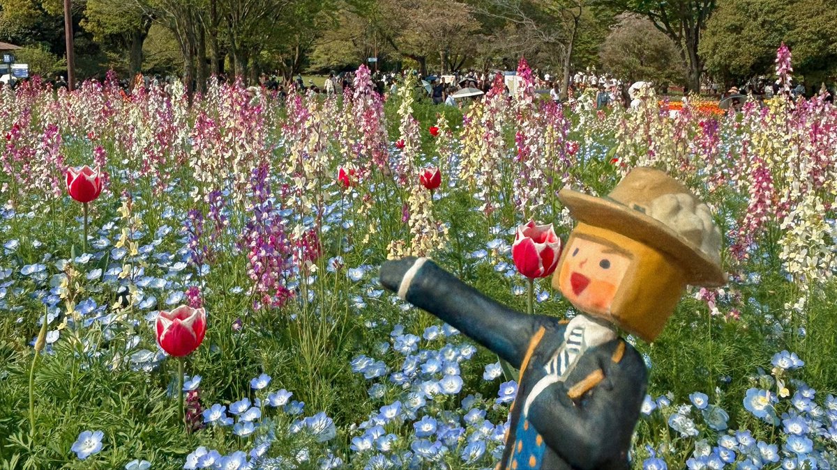 ｱｼﾞﾏ tweet media