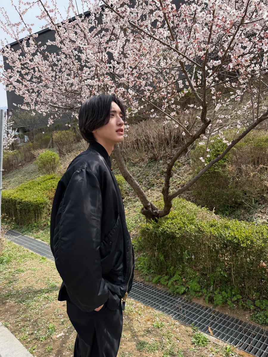 桜より道枝駿佑🌸