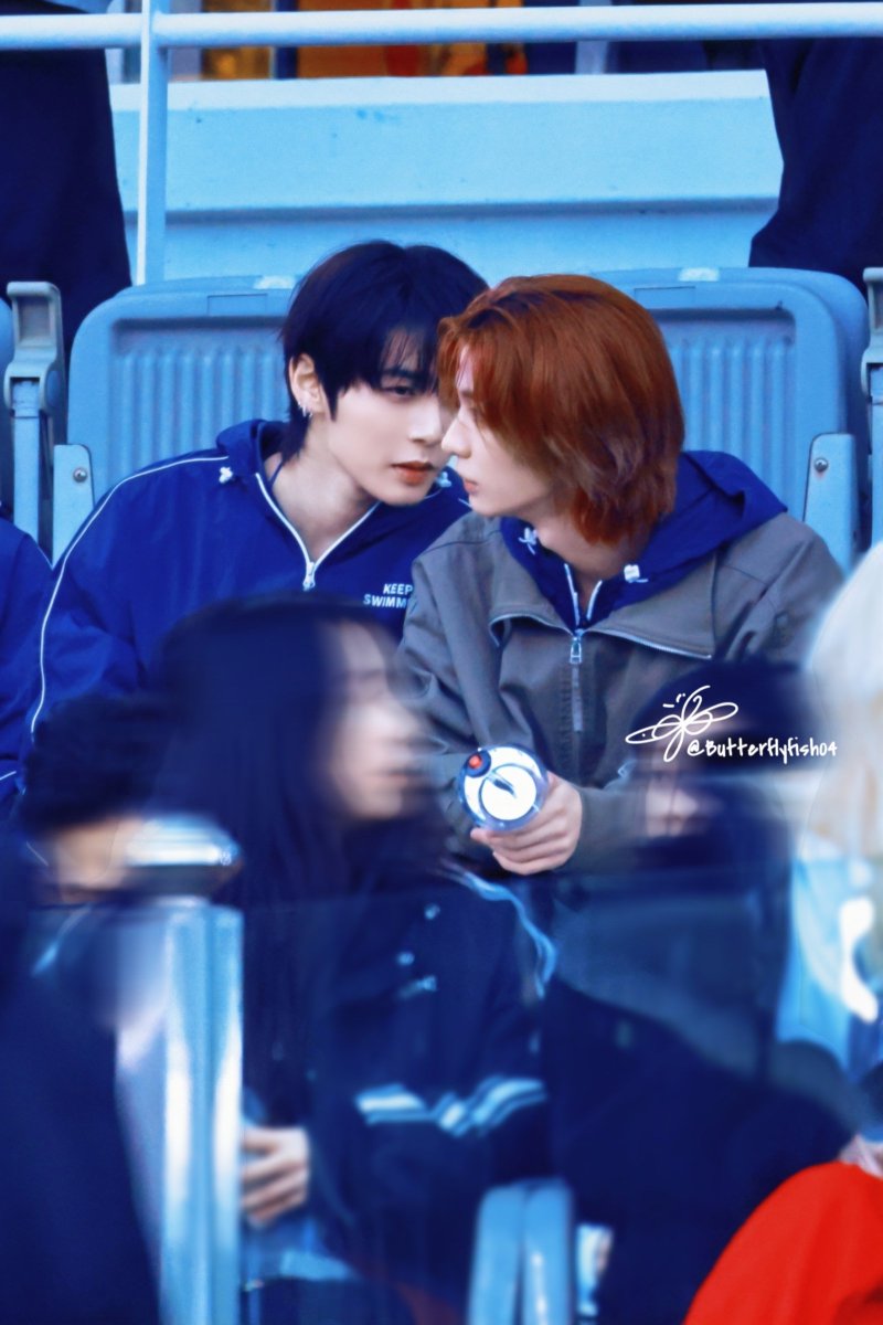 나비피쉬 tweet media