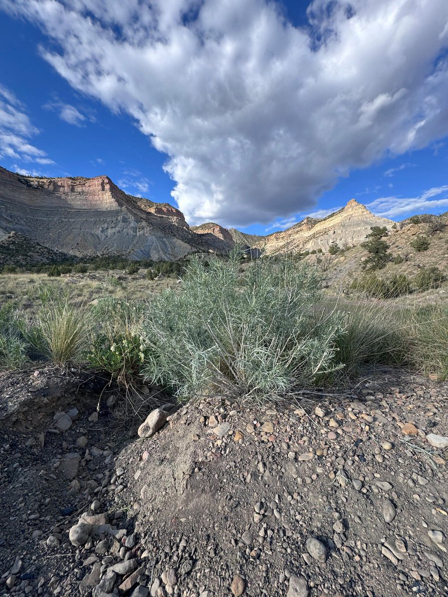 MESSAI_Bill's tweet image. Good Saturday. #WeekendVibes