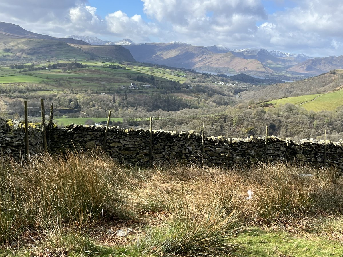 Tim Foster tweet media