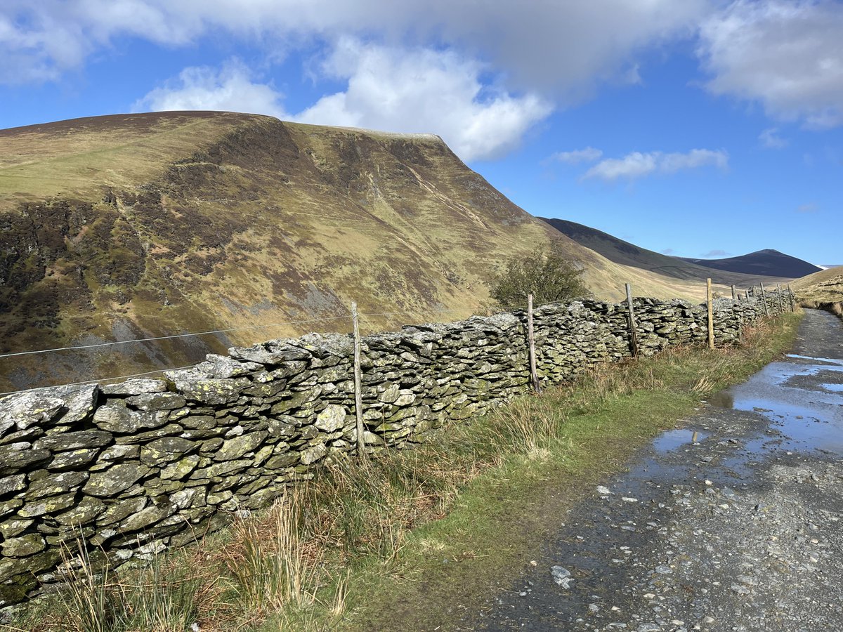 Tim Foster tweet media