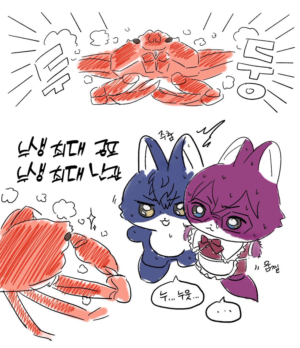 제임스🍒 tweet media