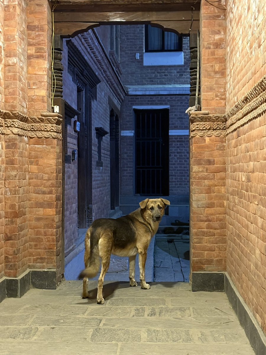 すーさん tweet media