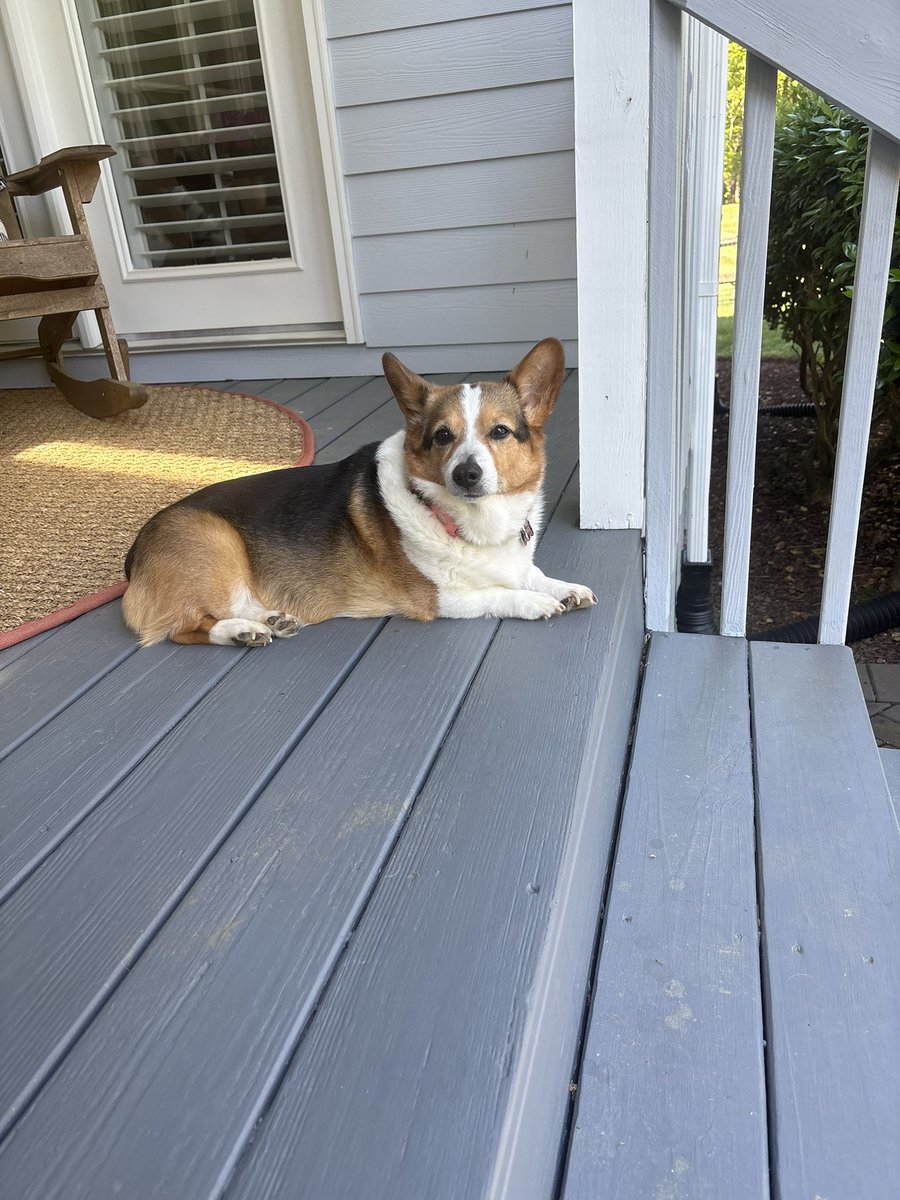 Jan Cale tweet media