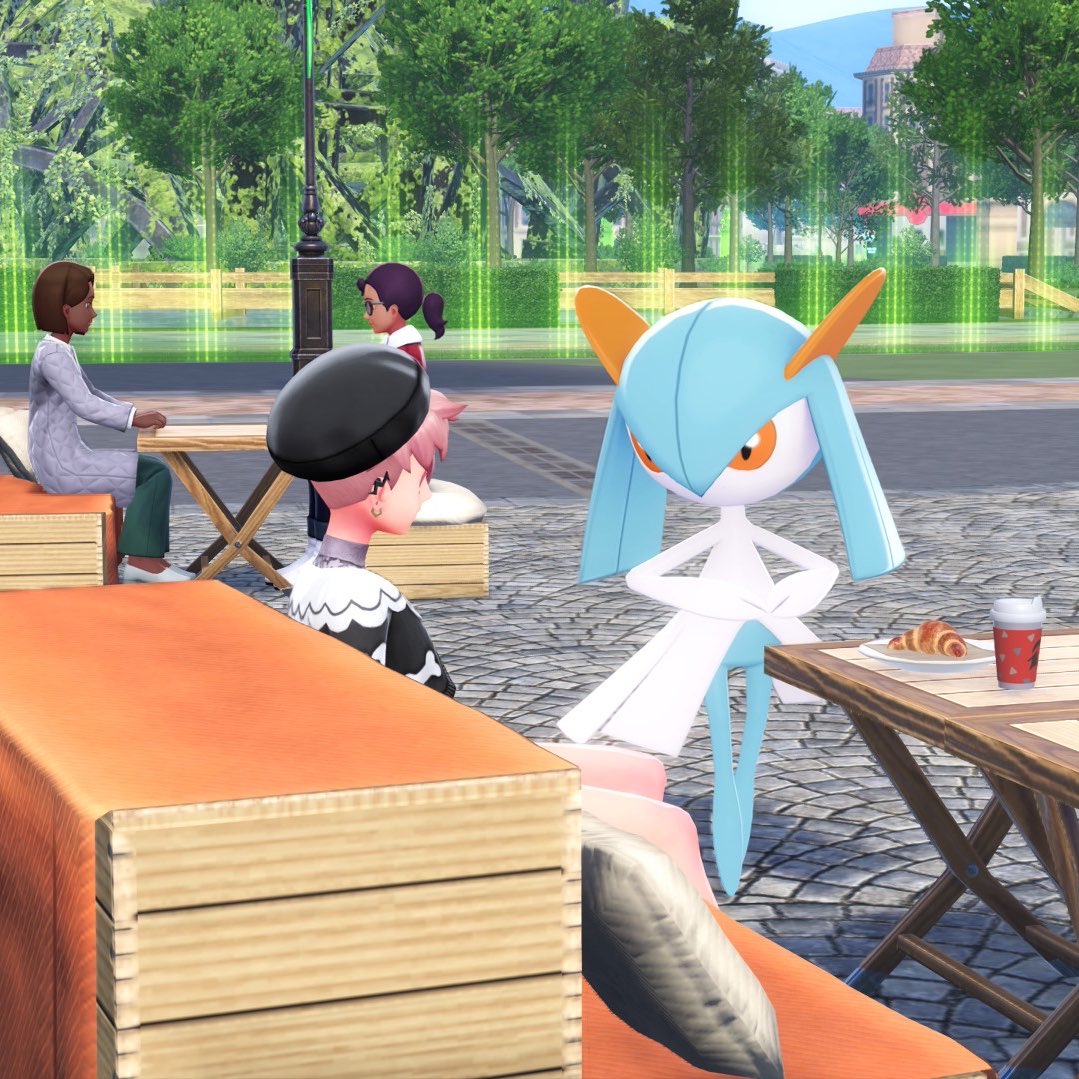 비둘기 tweet media