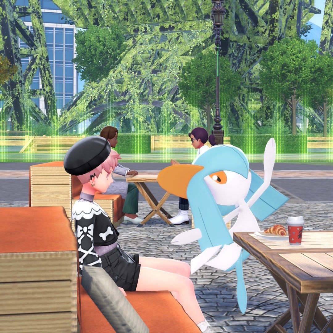 비둘기 tweet media