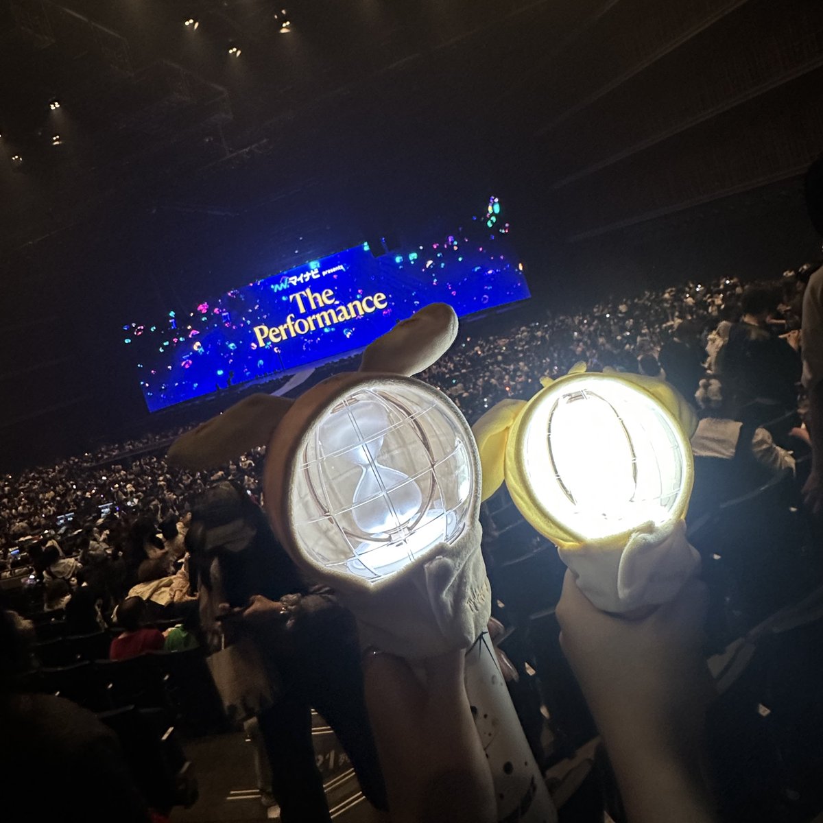 모모코🍑モモコ tweet media