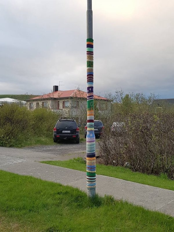 Iceland Cricket tweet media