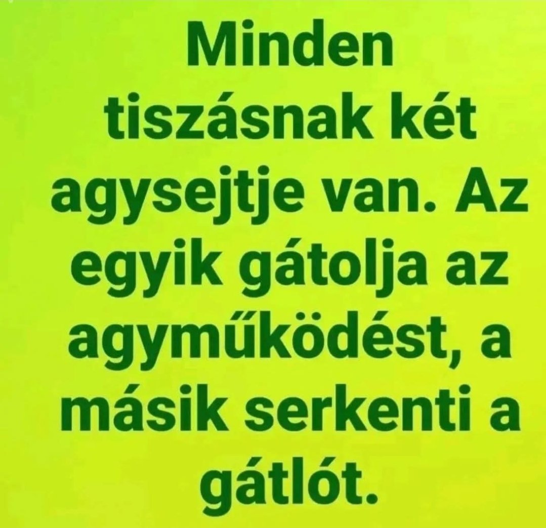 Bagazoli tweet media