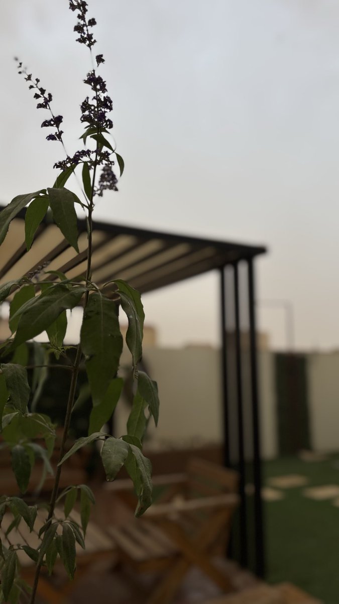 ムＢD U Ł L ム卄 tweet media