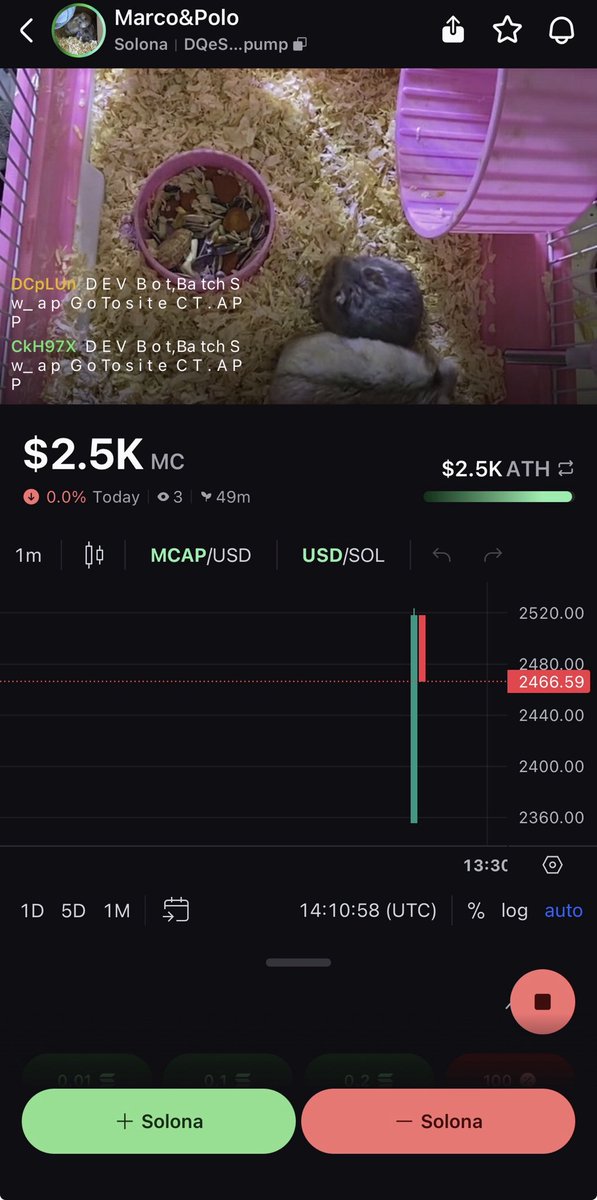 MarcoPoloroci's tweet photo. The coin is live and running. Momentum has started now it’s time to push hard and pump it up. https://t.co/TJid1eic1r