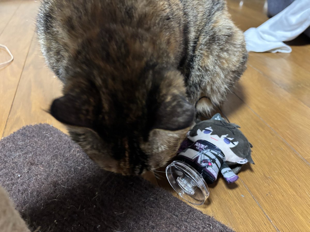 睦月 夕@福a!両日 tweet media