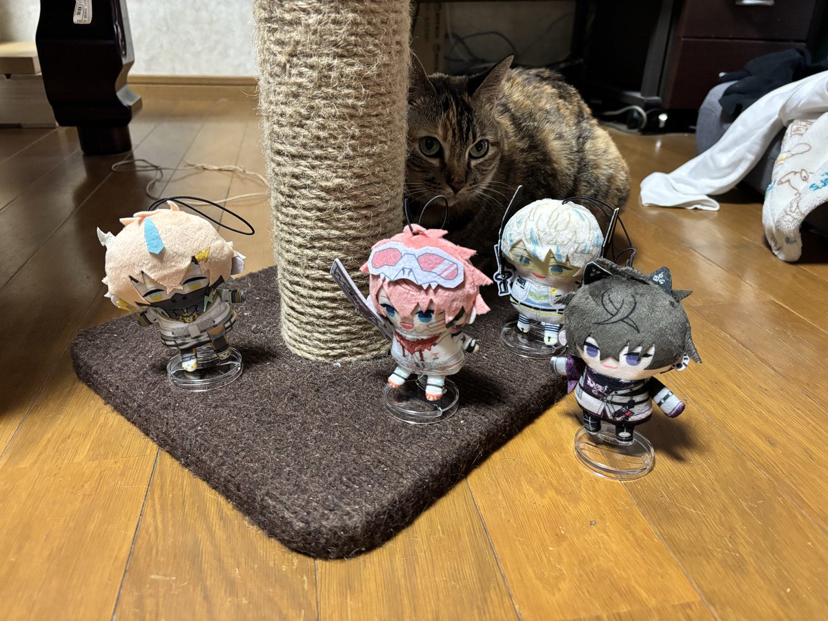 睦月 夕@福a!両日 tweet media