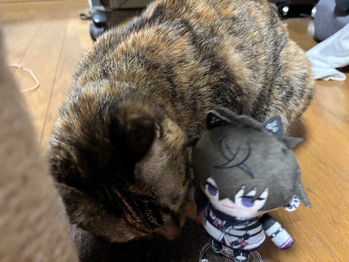 睦月 夕@福a!両日 tweet media