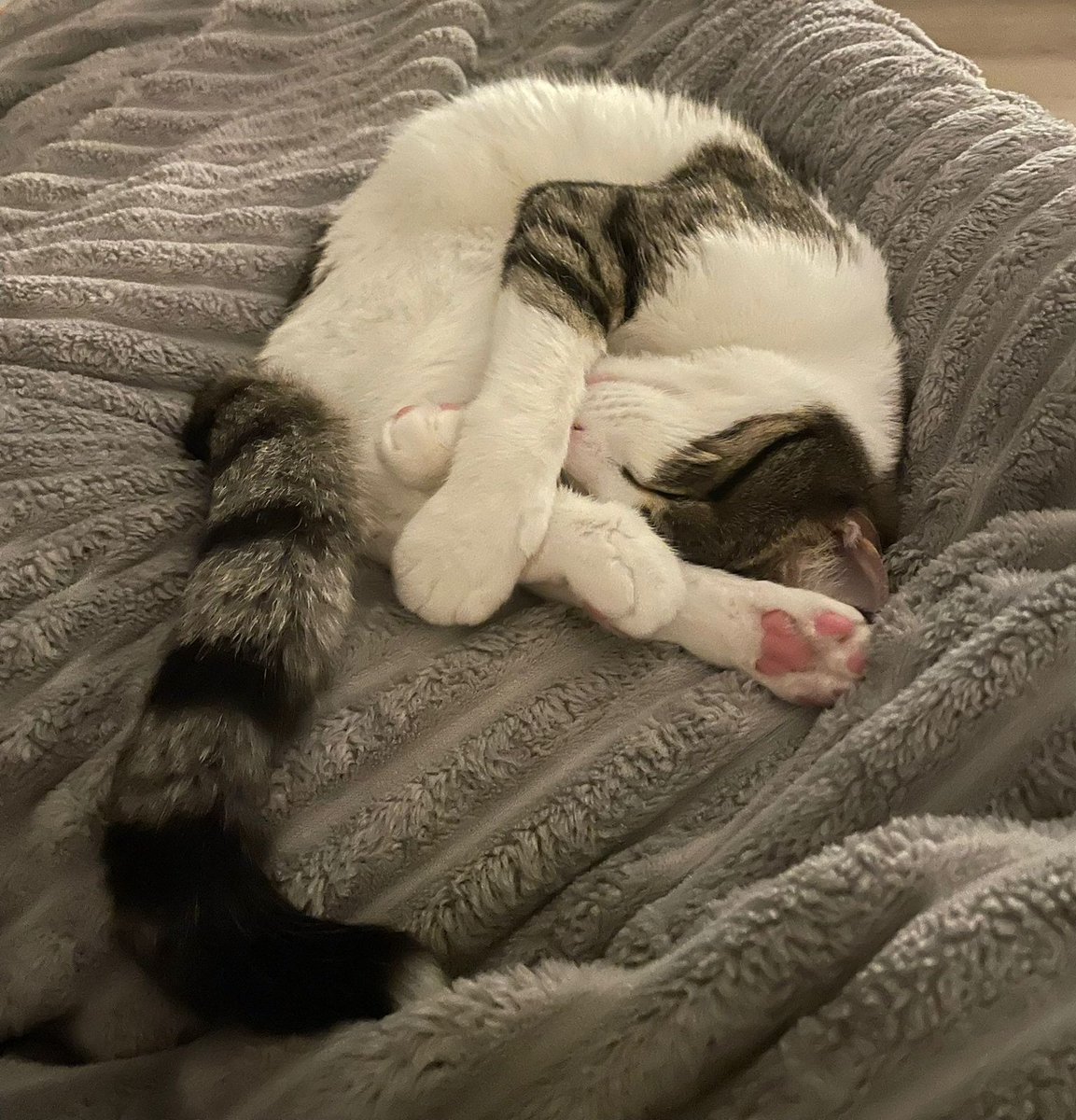How I sleep knowin damn well Santamariñe is in the Urdulís dominion