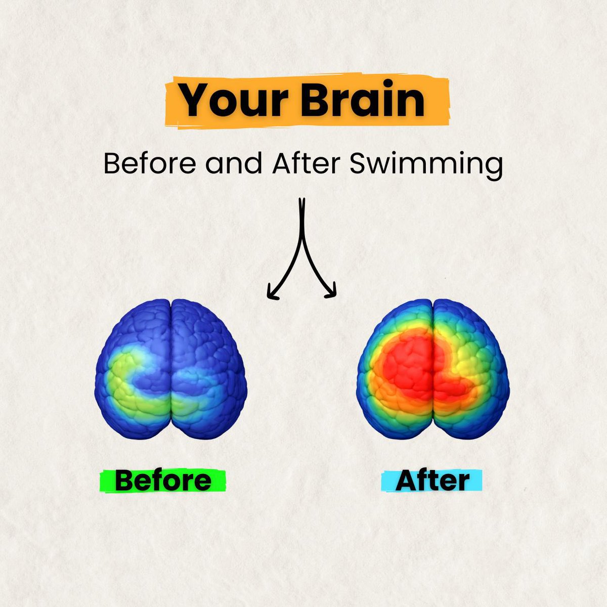 Dan Daly, CSCS tweet media