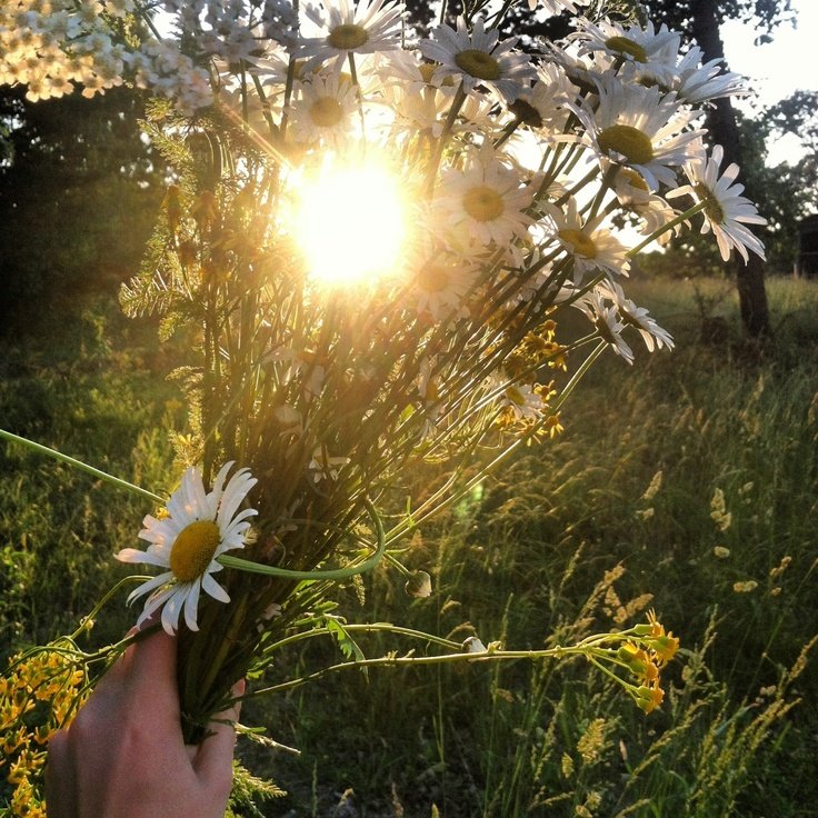 ꒰🐞꒱ Mellory tweet media