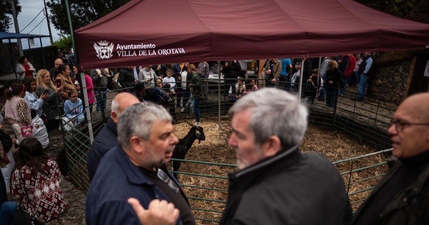 Fernando Clavijo tweet media