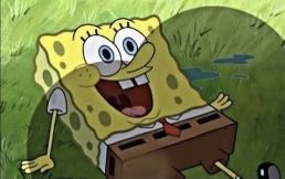 バニー tweet media