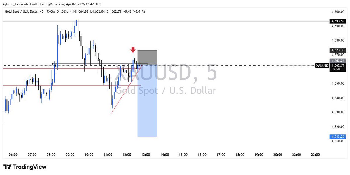 aybee_fx's tweet photo. WINS DAY🏆💸

Caught 500 pips with my community!🚀
Want to join the crew and level up your trading game?
Join the link on my bio💯
#trading #xauusd https://t.co/V4T6tA5pf9