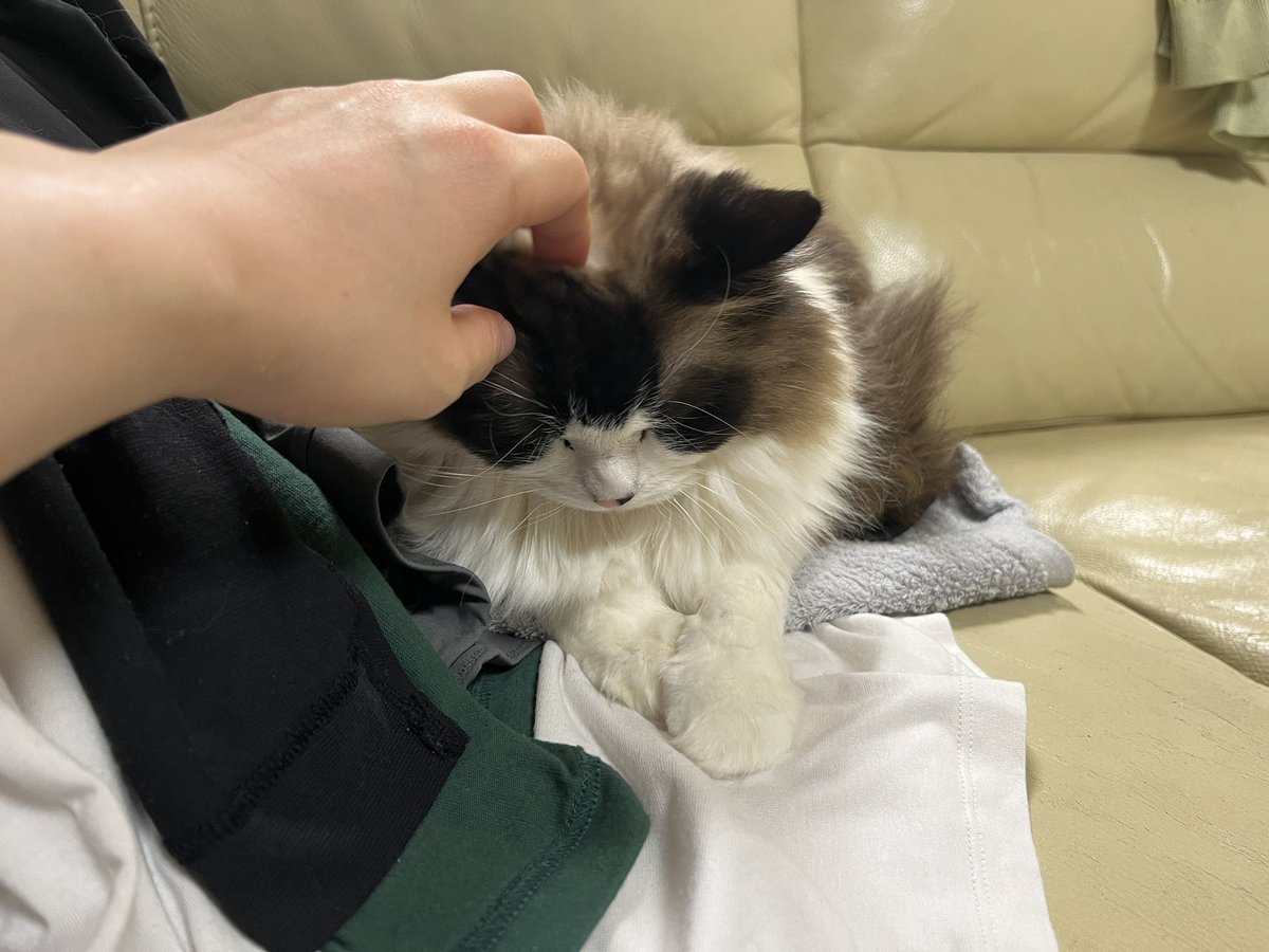 るる＆らら tweet media