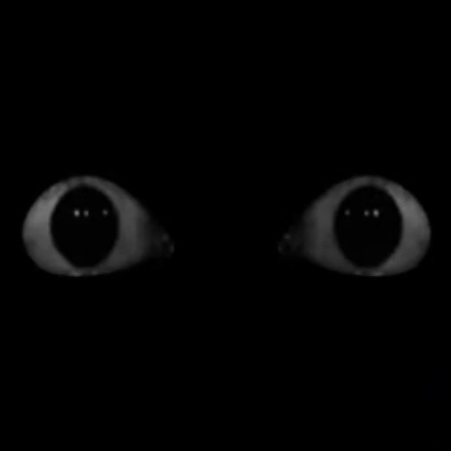 𐂯MEDDY 🪽 tweet media