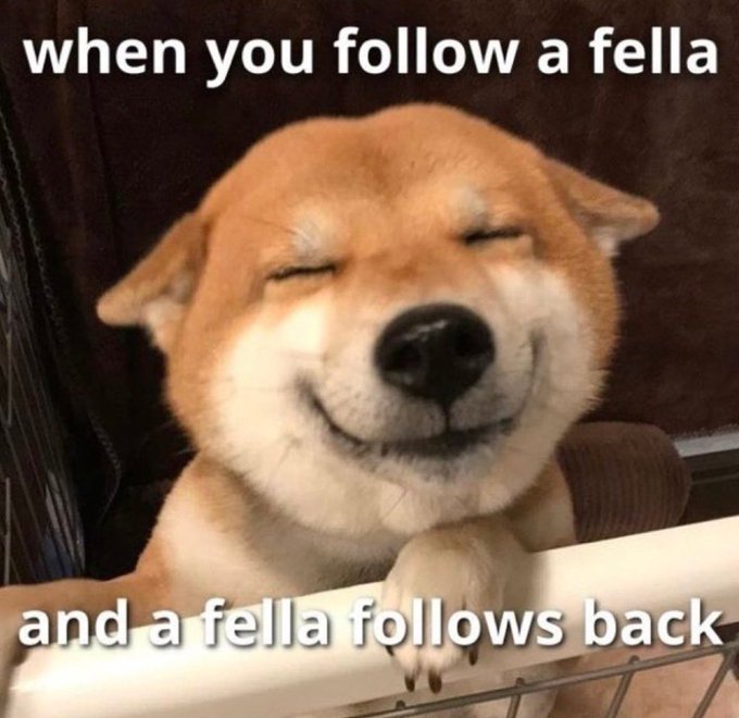 Milly Bouter #NAFO 🇳🇱🇺🇦🇬🇪🇨🇦🏳️🌈😷💉 tweet media