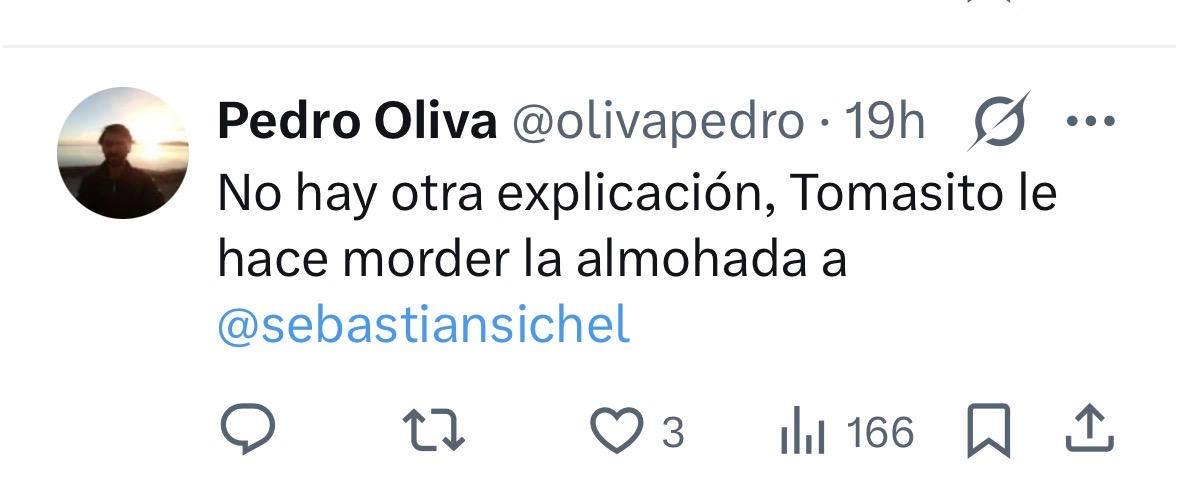 Sebastián Sichel tweet media