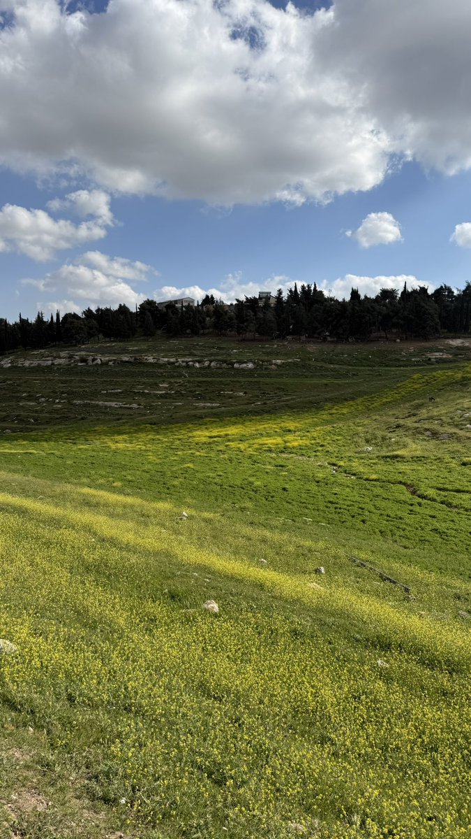 Malek 🐨 tweet media