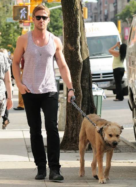 akiden 🪴 tweet media