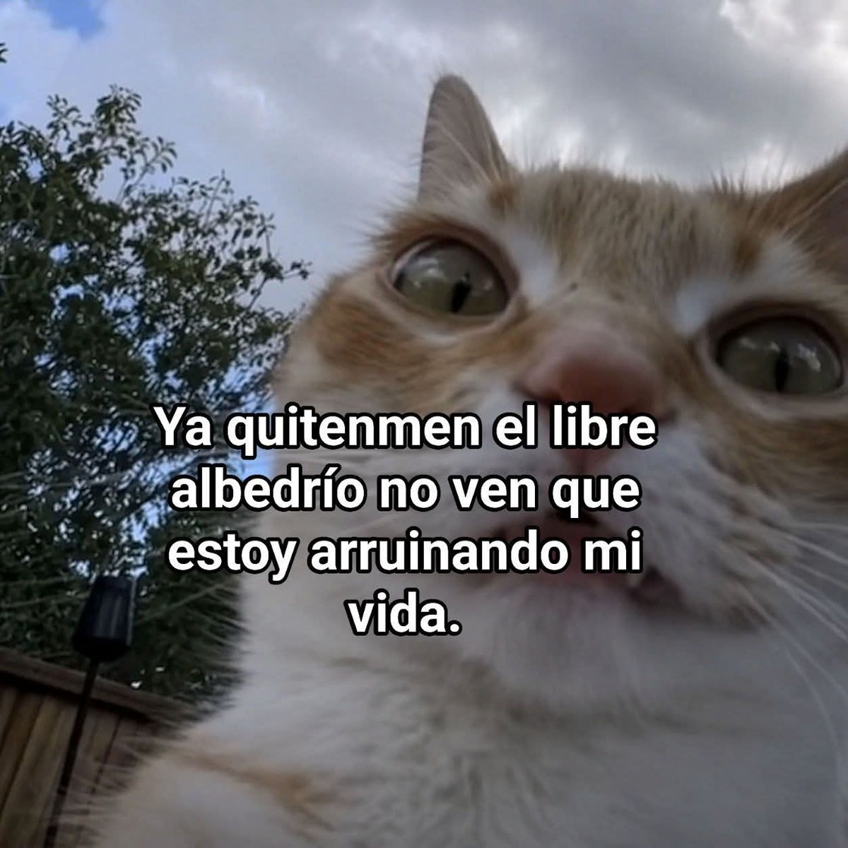 Barbie ❤️❤️❤️ tweet media