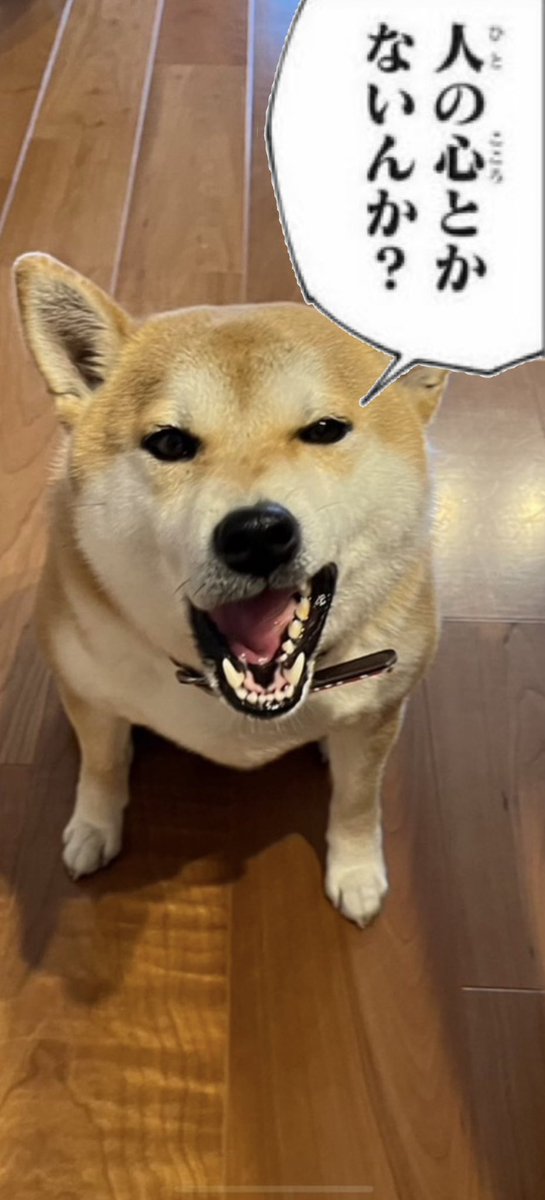 ballsthe1st's tweet photo. @BIGKUROURUSHI https://t.co/vbIK92dgSX
