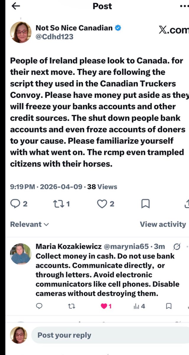 Lindsay Wright tweet media