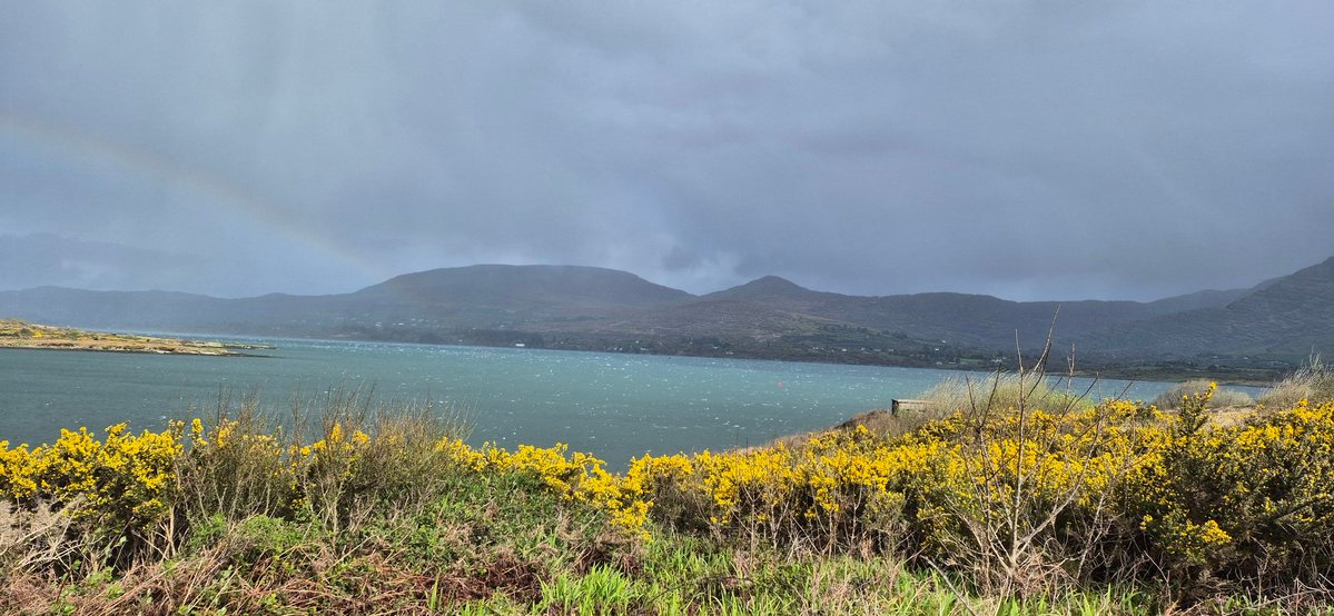 CarolPMurphy's tweet image. A very wild &amp;amp; windy morning for the Bere Island #parkrun #parkwalk. Great to get it done. Thankfully the hailstone showers didn't come 'til afterwards 🥶🤓 #200daysofwalking