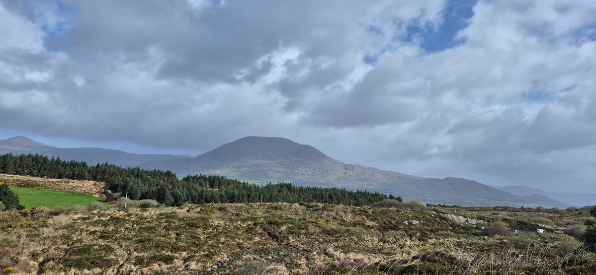 CarolPMurphy's tweet image. A very wild &amp;amp; windy morning for the Bere Island #parkrun #parkwalk. Great to get it done. Thankfully the hailstone showers didn't come 'til afterwards 🥶🤓 #200daysofwalking