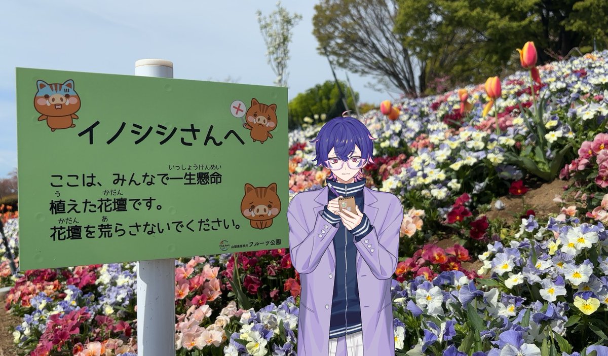 山梨県の笛吹市にﾅｲｽﾄﾘｯﾌﾟしましたの〜！
こんなに可愛いモーションがあったトワ
